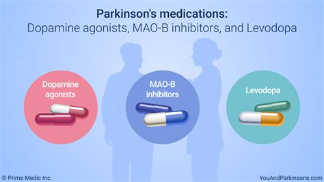 Slide Show - Treatment and Management of Parkinson’s Disease