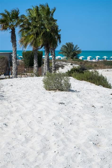 Saadiyat Public Beach, Saadiyat Island, Abu Dhabi, UAE Editorial Stock Image - Image of nature ...