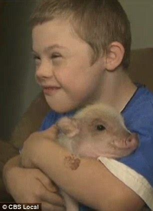 Twinkle the therapy pig of boy with Down syndrome at center of local law dispute that threatens ...