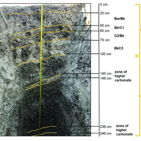 | Ridgecrest soil (0-100 cm) and saprolite profile (100-250 cm) with... | Download Scientific ...