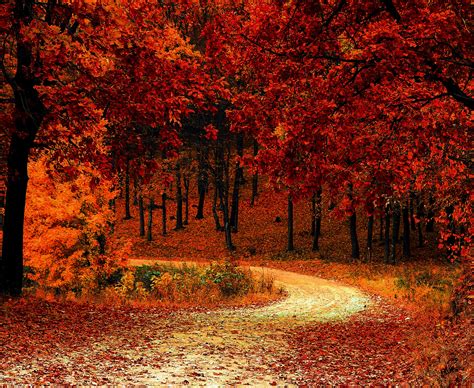 Fall Foliage Wallpapers For Desktop Wallpaper Cave | Images and Photos finder