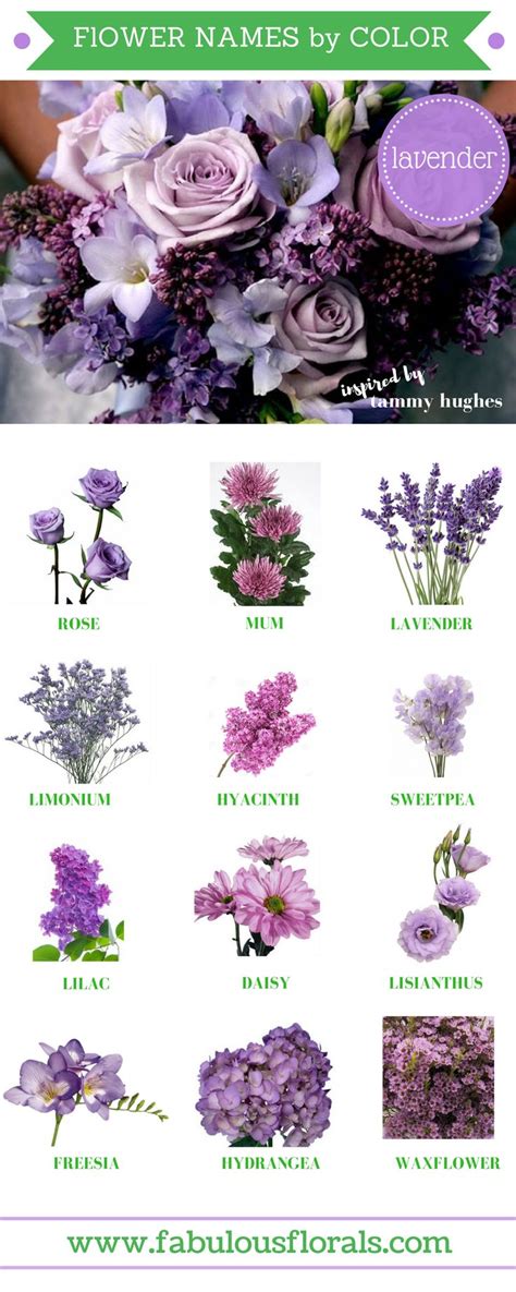 Purple Flowers Pictures And Names : What Are Names Of Purple Flowers : Pin On Flower Dictionary ...