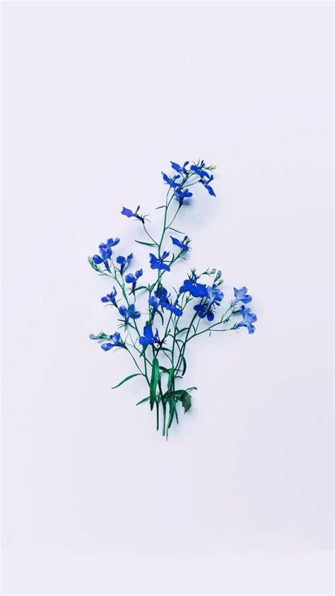 Blue Flowers Aesthetic Wallpapers - Top Free Blue Flowers Aesthetic Backgrounds - WallpaperAccess