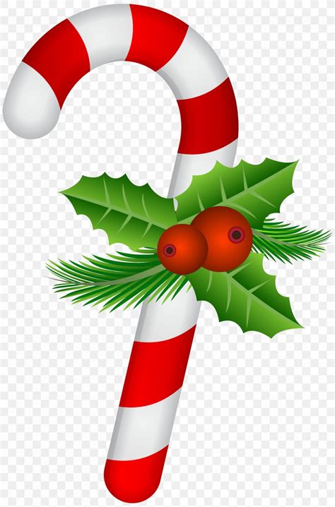 Candy Cane Christmas Clip Art, PNG, 5277x8000px, Candy Cane, Aquifoliaceae, Candy, Christmas ...