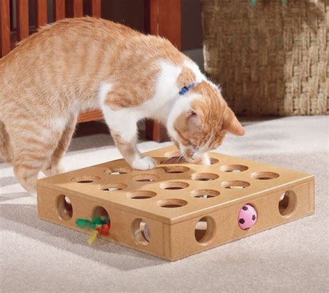 One common reason why cats can misbehave is due to boredom. Puzzle feeders can tap into a cat’s ...