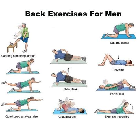 Back Strengthening Exercises: Lower Back Strengthening Exercises Bodyweight Exercises