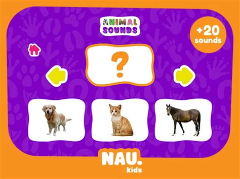 Animal Sounds | Play Now Online for Free