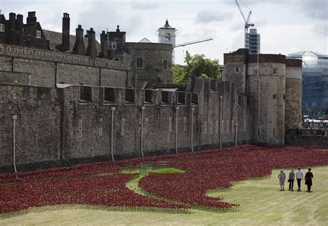 For WWI Anniversary, the Tower of London Has Become Surrounded by a Sea of Poppies | Smithsonian