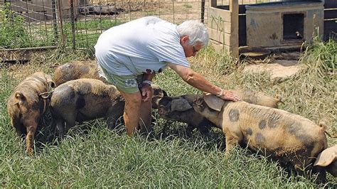 This woman started a small pig farm on a whim. Now she's a Carbondale Farmers Market favorite ...