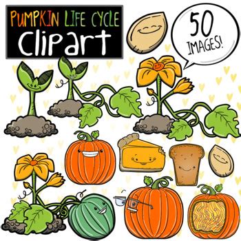 Pumpkin Life Cycle Clip Art by Prince Padania | Teachers Pay Teachers