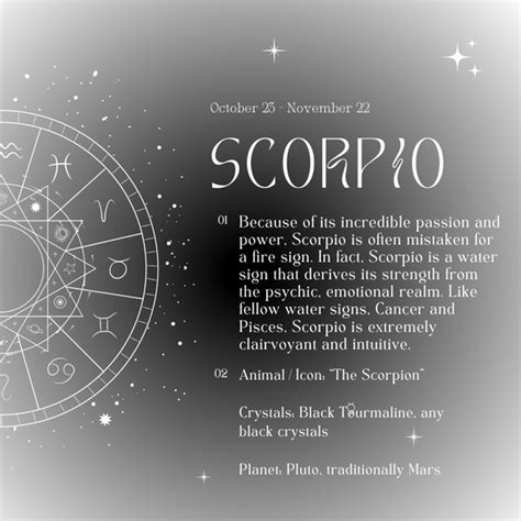 Scorpio Season 2023 + Horoscopes – Birthdate Co.