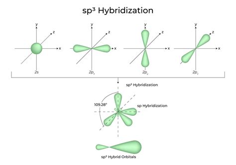 Sp2 Hybridization Shape