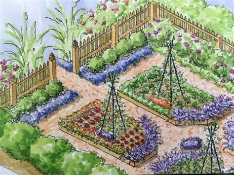 School Garden Layout Ideas