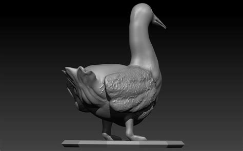 Duck Stl 3D model - TurboSquid 1774157