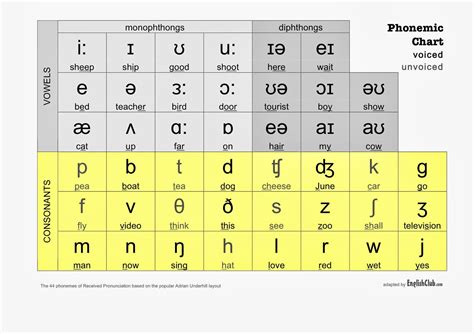 Ipa Phonetic Symbols Chart | Hot Sex Picture