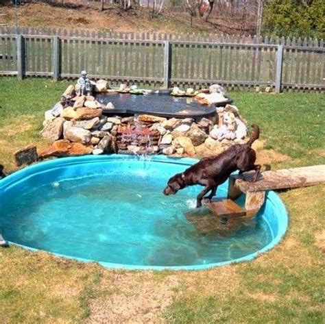 amazing-backyard-dog-pool-and-landscaping-ideas – HomeMydesign