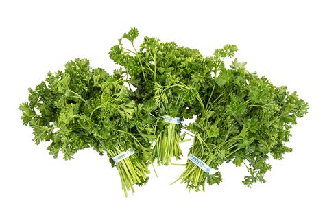 Curly Parsley - Fresh Avenue