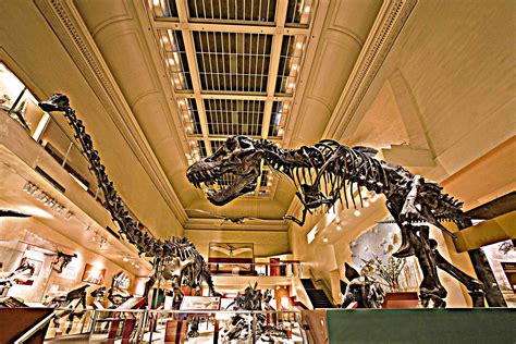 Smithsonian Insider – $35-million donation will build new dinosaur hall at National Museum of ...