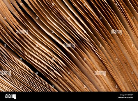 Pages of ancient book. Background or texture Stock Photo - Alamy