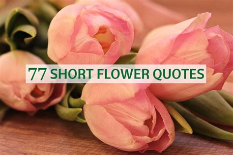 77 Short Flower Quotes You Will Surely Love