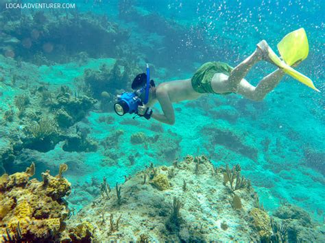 Turks and Caicos Snorkeling Safari - Local Adventurer