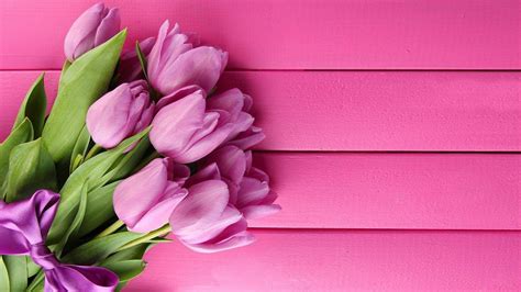 Pink Tulips Wallpapers - Wallpaper Cave