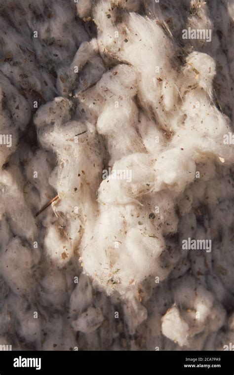 John deere cotton picker hi-res stock photography and images - Alamy