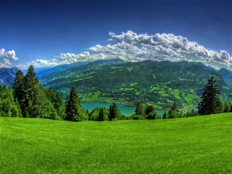 HD Widescreen Backgrounds Wallpapers: Beautiful Green Backgrounds | Top Wallpaper For Laptop ...