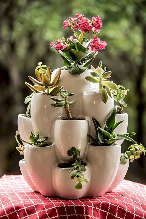 20+ Cute Pots For Succulents – DECOOMO