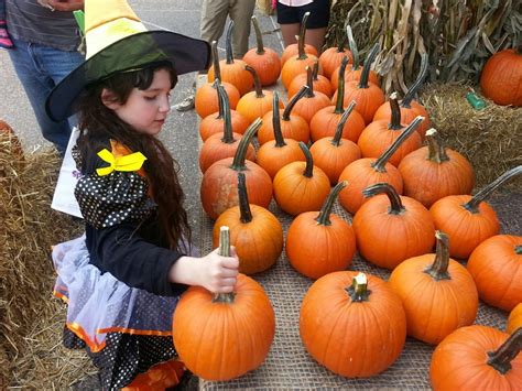 Sesame Place Is A Perfect Place To Celebrate The Fall Season! #SesamePlace # ...