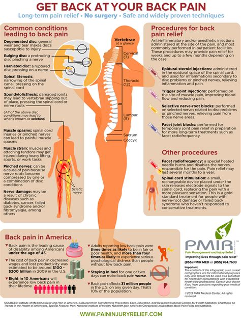 Lower Back Pain Causes - Chronic Lower Back Pain - Chronic Lower Back Pain Symptoms ... - Lower ...