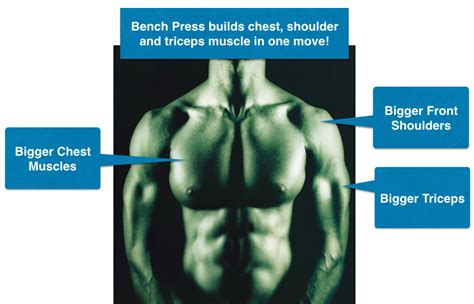 How to Perform Bench Press Exercise for Bigger Chest Muscles