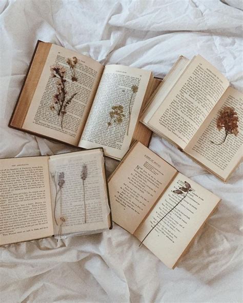 azureé on Twitter | Book photography, Vintage books, Pressed flowers