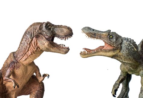 Was Spinosaurus Bigger Than T-Rex? - FossilEra.com