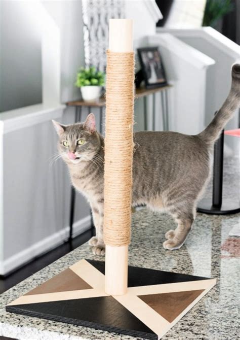 15 Easy DIY Cat Scratching Post Plans (Make a Cat Scratcher)