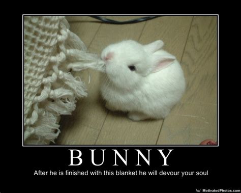 Kinky Bunny Easter Report | ultrafeel.tv