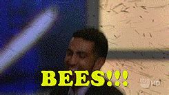 Oprah Bees Animated GIF