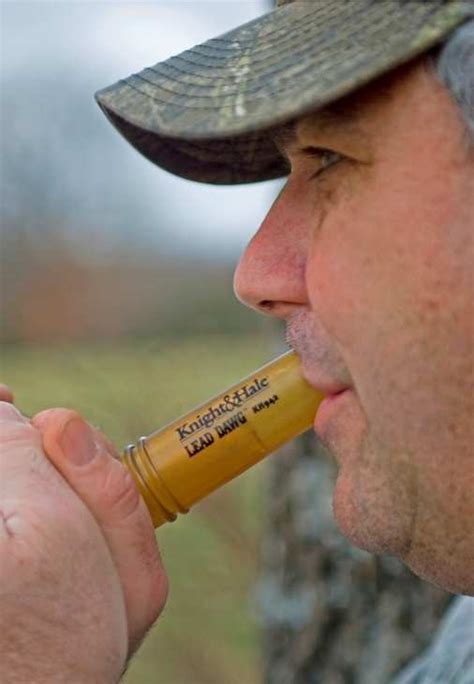 Tips for Successful Hunting Coyotes - Coyote Hunting