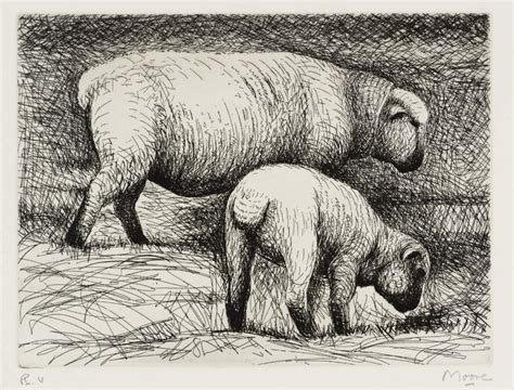 ‘Fat Lambs’, Henry Moore OM, CH, 1974 | Tate Drawing Images, Line Drawing, Painting & Drawing ...