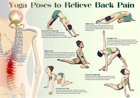 The Best Yoga Poses You Can Do in 8 Minutes To Relieve Back Pain — Info You Should Know