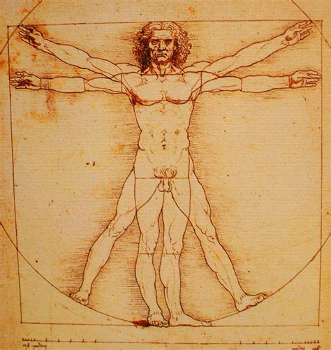 Vitruvian Man - Google Search in 2020 | Vitruvian man, Ancient art, Ancient