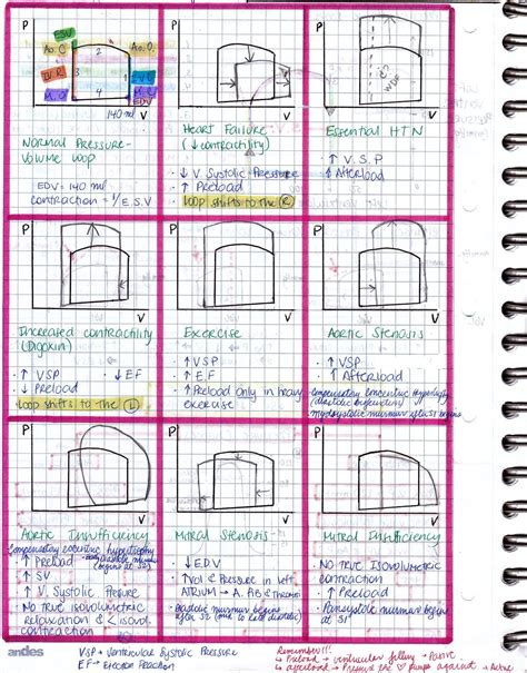 My Notes for USMLE — Examples of different Pressure-Volume Loops (i...