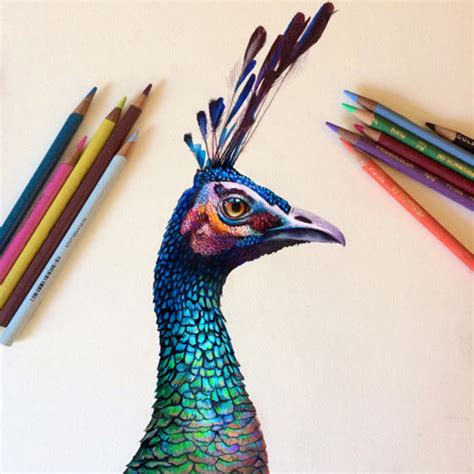 Hyper-realistic colored pencil portraits by Morgan Davidson | Partfaliaz