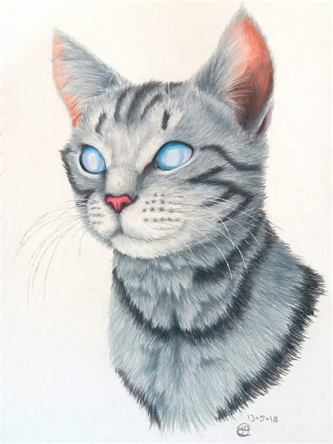 Realistic Cat Drawing at PaintingValley.com | Explore collection of Realistic Cat Drawing