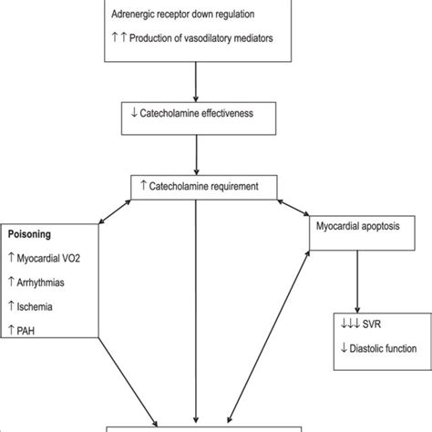 Effect of afterload reduction. Afterload reduction is of greater... | Download Scientific Diagram