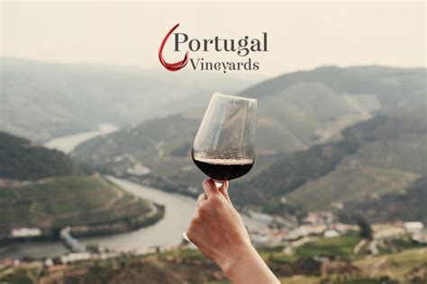 Portugal Vineyards - Asia Wine News