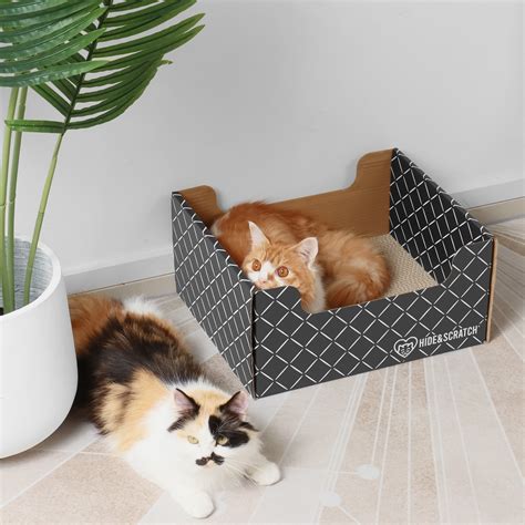 Hide & Scratch Extra-Large Cat Scratcher Box