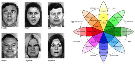 Ekman's six basic emotions and Plutchik's wheel of emotions (the middle... | Download Scientific ...