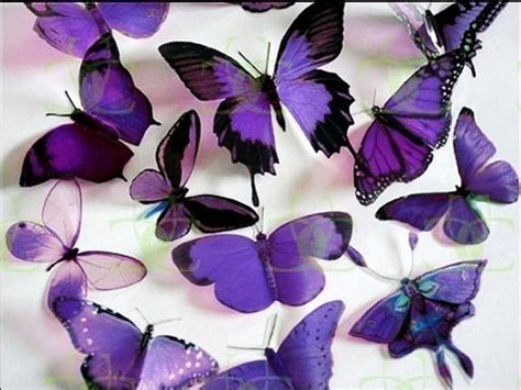 butterfly free wallpaper: Purple Butterfly Wallpaper