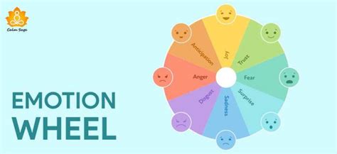 The Emotion Wheel: Primary Emotions, Benefits & How To Use It!